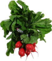 Radishes Red Bulk