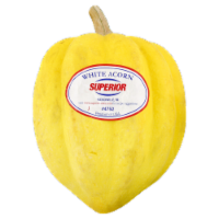 White Acorn Squash
