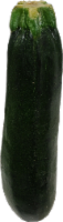 Baby Green Zucchini