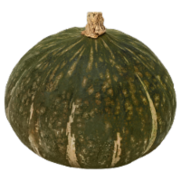 Buttercup Squash