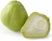 Chayote Squash Perspective: Main