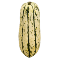 Frieda's Squash Delicata