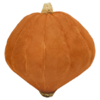 Golden Nugget Squash