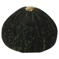 Kabocha Squash