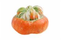 Turban Squash