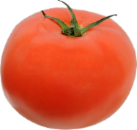 Red Tomatoes
