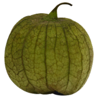 Tomatillo