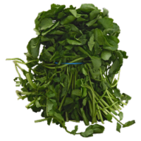 Watercress