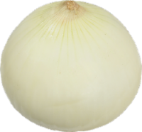 Yellow Peeled Onions