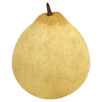 Yali Pear