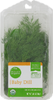 Dill Baby