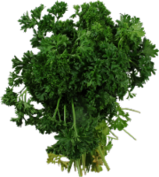 Parsley