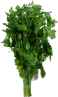 Parsley - Italian