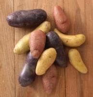 Fingerling Potatoes Perspective: front