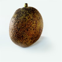 Jackfruit Perspective: Main