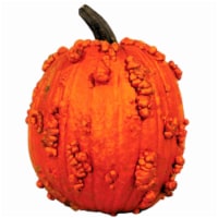 Fresh Grown Knucklehead Pumpkin - Each