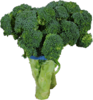 Organic Broccoli Crowns Perspective: Main