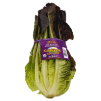 Organic Red Romaine Lettuce