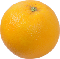 Organic Red Navel Oranges