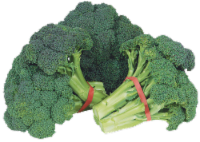 Baby Organic Broccoli