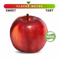 Organic Large Cosmic Crisp Apple - Each Perspective: Main