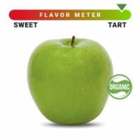 Organic Granny Smith Apple – Each Perspective: Main