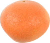 Organic Red Grapefruit