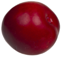 Organic Red Plums