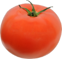 Organic Red Tomatoes