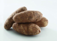 Organic Russet Potatoes