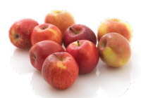 Large Organic Opal Apple, 1 lb - Harris Teeter