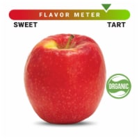 Organic Large Pink Lady Apple – Each Perspective: Main