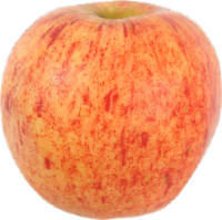 Small Organic Gala Apples