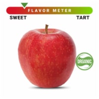 Organic Large Gala Apple – Each Perspective: Main