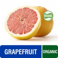 Fresh Organic Deep Red Grapefruit - Each Perspective: Main