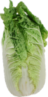 Organic Napa Cabbage