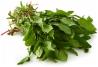 Organic Red Dandelion Greens