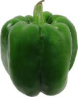 Organic Green Bell Pepper