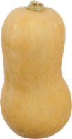 Organic Buttercup Squash