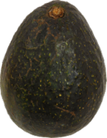 Organic Hass Avocados