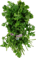 Organic Cilantro