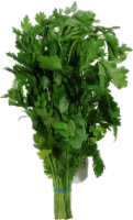 Organic Italian Parsley
