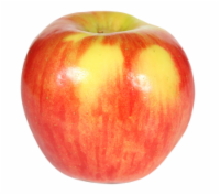 Autumn Glory Apple Perspective: Main