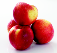 SweetTango Apple Perspective: Main