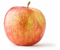 Kiku Apples Perspective: Main