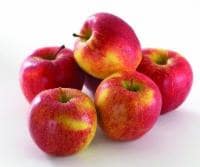Envy Apples Perspective: front