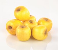 Opal Apple Perspective: Main