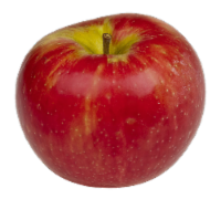 Organic Honeycrisp Apples Perspective: Main