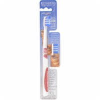toothbrush replaceable bristles