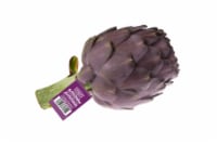 Ocean Mist Farms Purple Artichoke Perspective: Main